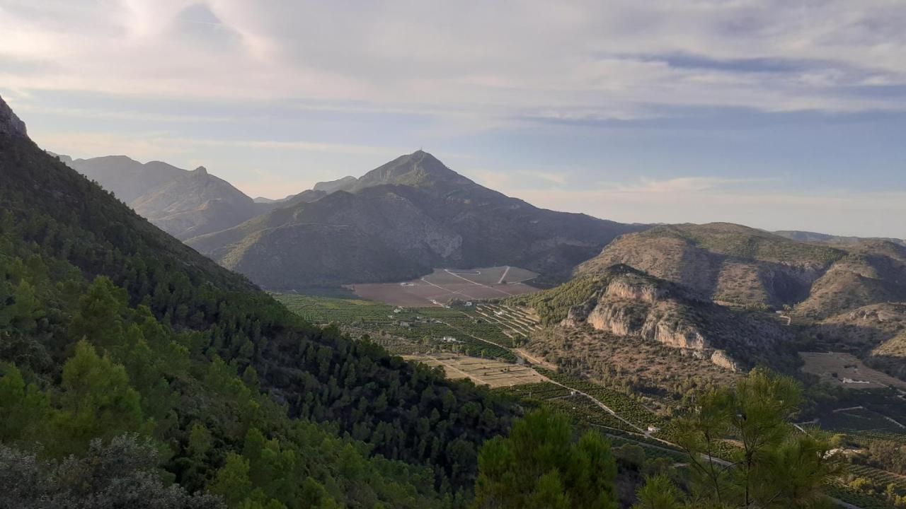 Les Moreres Gandía Buitenkant foto